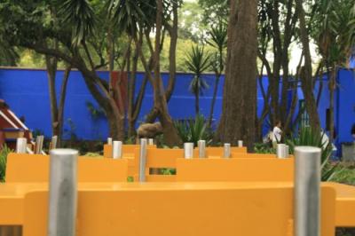 Innenhof in der casa azul de Frida Kahlo