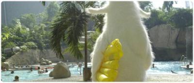 268435067_61c5cc11b7