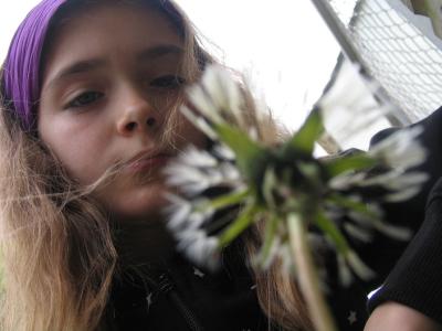 Miri-und-die-Pusteblume-