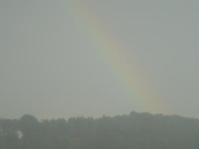 Regenbogen
