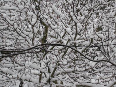 schnee im märz