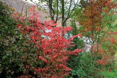 Rottoene-am-Teichabhang