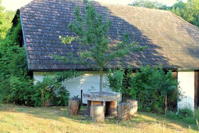 Steintisch-am-Morgen