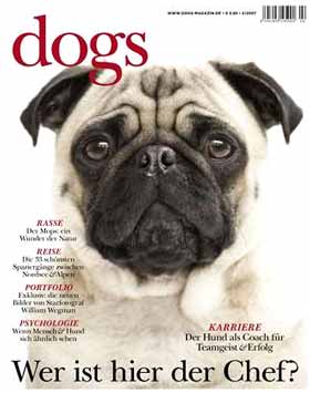Mogs Kalle auf dogs-Cover