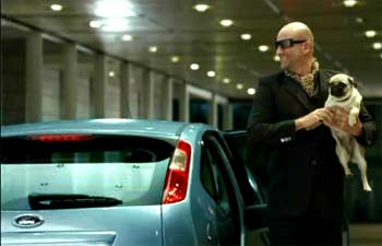 Mops im Ford Focus-Spot
