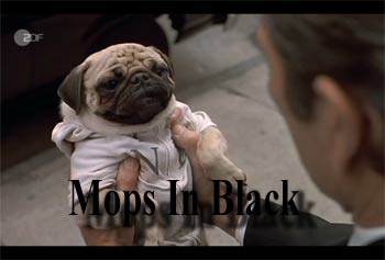 Mops In Black