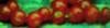 Beeren