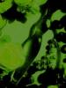 CrystalLoverimWasser1