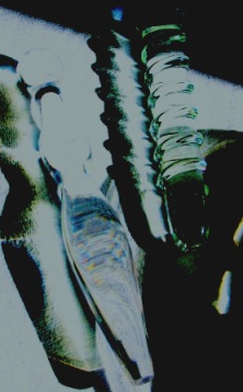 GlasFest1