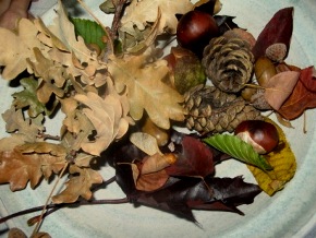 Herbstteller1