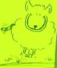 Schaf