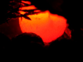UnterWasserOrange1