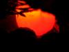UnterWasserOrange1