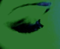auge2