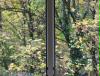 fensterblick