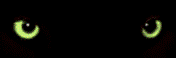 katzenauge