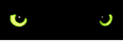katzenauge1