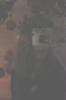 lookslike1