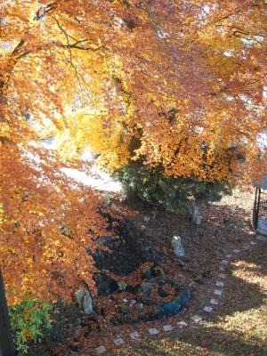 Wunder an einem Herbsttag