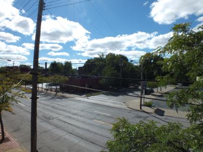 CLE1