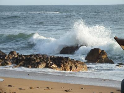 Welle