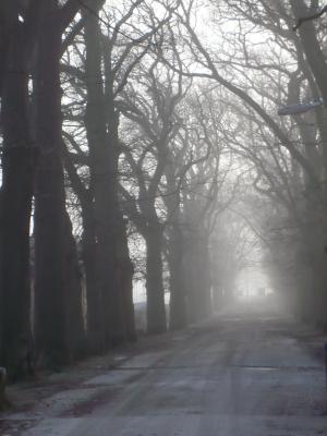 allee