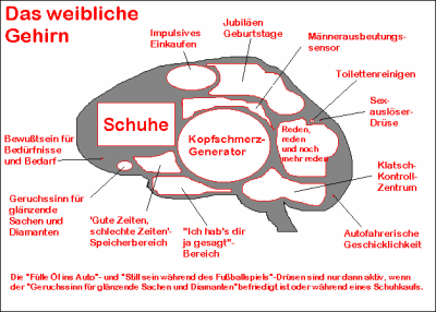 Gehirn_weiblich