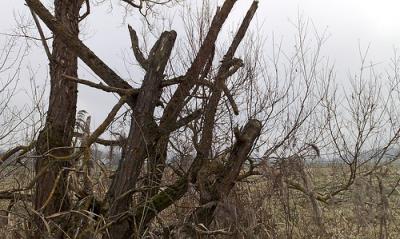 2138546615_6ca6293bb4