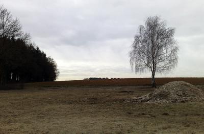 2318524457_7e3266d959