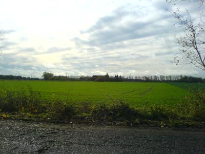 Impression... Impression...