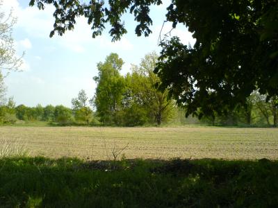 Tolle Eindrücke... Tolle Eindrücke...