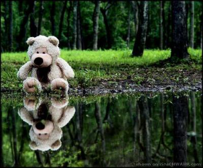 Einfach nur niedlich! Einfach nur niedlich!