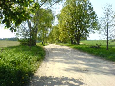 Baum und Feld... Baum und Feld...