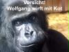 wolfgang