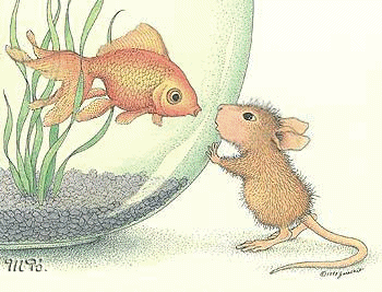 huismuis-vis