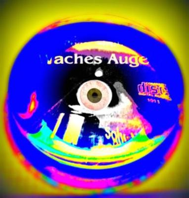 Wachesauge2