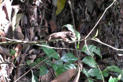 Esh3uzIvjMtl20tTQrHwqv5oTaXmrYjm03Ud2naQ2Ak