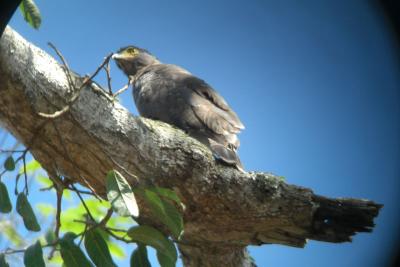 KL-hByazgHsij_vOE3iDOBDRIaFoKDYjII9DxZ13_Lk