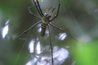 Kmp-Bqeph2PmSm4G3nPDgpWxBUzz8RsY0RNBPaOlOpw