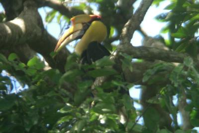 PKMSR7KyAbDSp88xu8vrqdBTIiL9cu6zey7QBLMFL70