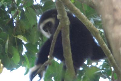 cq7afPksVZ3pv00951GD7_tp4Lpxch_bZ-GqqM28TnM