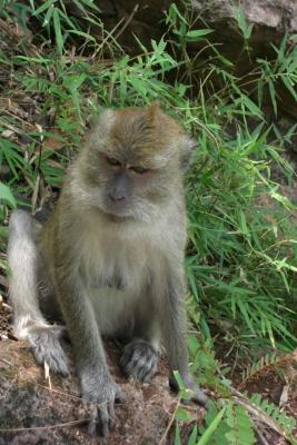 hu21xawdBN-yDi0WNhC7RK6g1qUQ_-uIWYj4wzvkgs0