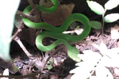 sPPB3AIMDHL8MIvJBlh-gtmN_xKC2Hx0IUaMdabpCiA