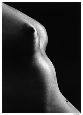 ines-diagonal116