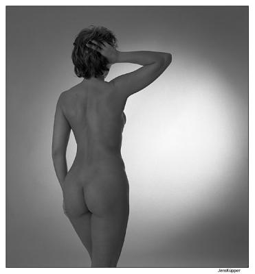 ines233-v2