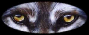 Wolfsaugen