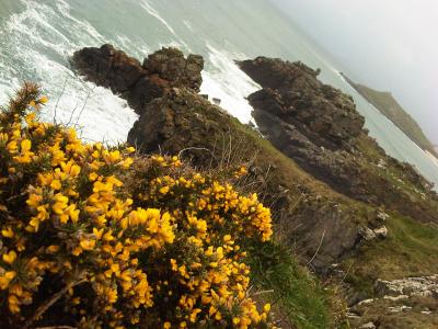 Costal-path-St-Ives