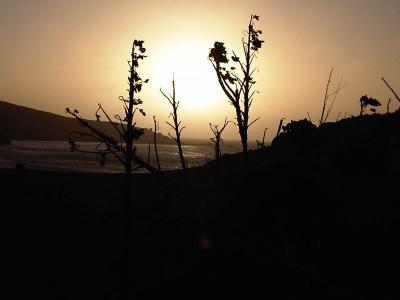 Sunset-Porthmear-