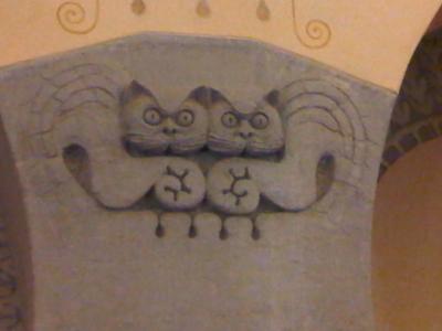cats cats