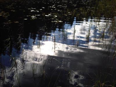 nuuksio
